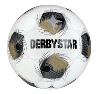 DERBYSTAR Brillant TT v25 Gr.5 weiss silber gold...